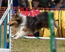 20190615-cckc-1296