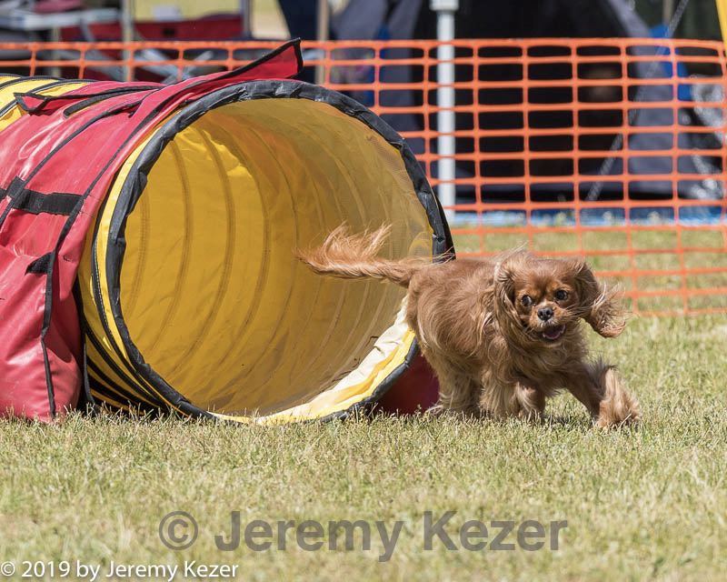 20190615-cckc-1231.jpg