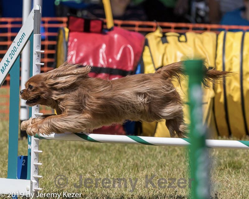 20190615-cckc-1232.jpg