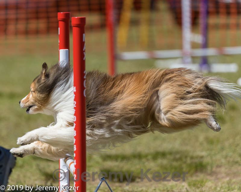 20190615-cckc-1252.jpg