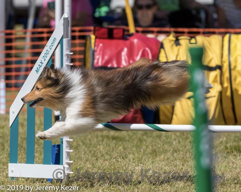 20190615-cckc-1283.jpg