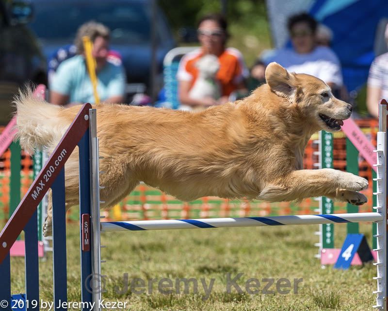 20190615-cckc-1159.jpg