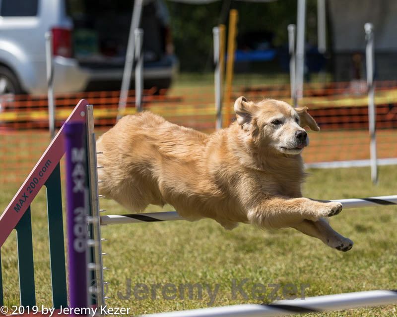 20190615-cckc-1163.jpg
