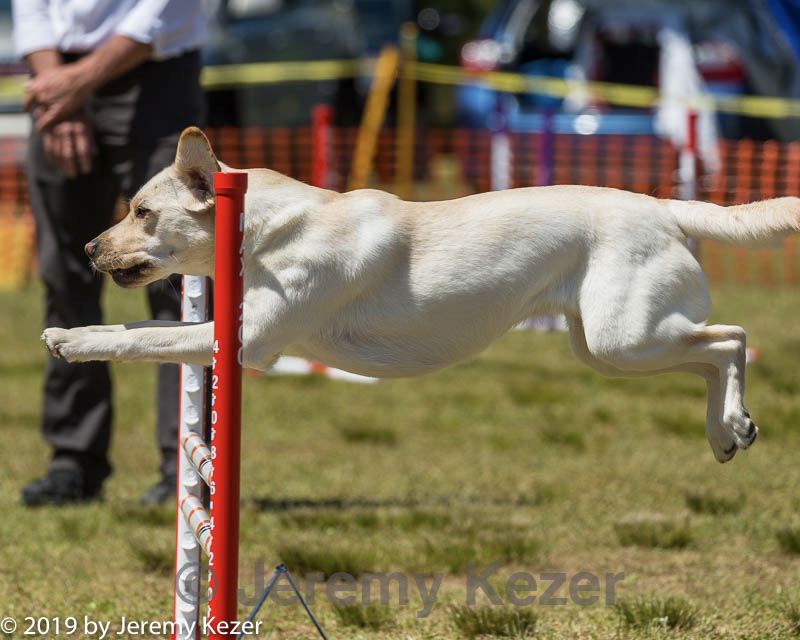 20190615-cckc-1175.jpg