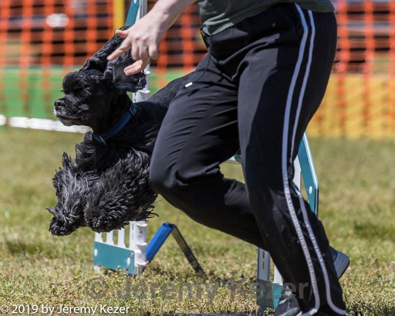 20190615-cckc-1187.jpg