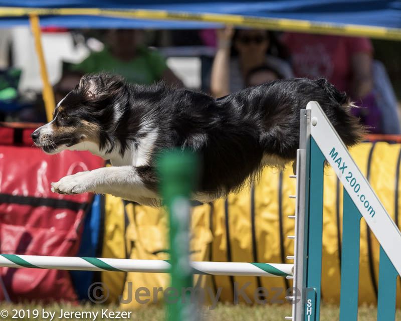 20190615-cckc-1225.jpg