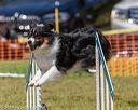 20190615-cckc-0903