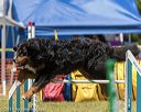 20190615-cckc-0917