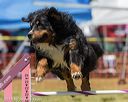 20190615-cckc-0926