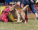 20190615-cckc-0935