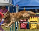 20190615-cckc-0936
