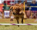 20190615-cckc-1027
