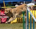 20190615-cckc-1061