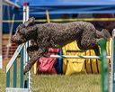 20190615-cckc-1074