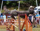 20190615-cckc-1075