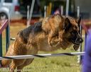 20190615-cckc-1109