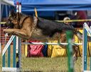 20190615-cckc-1119
