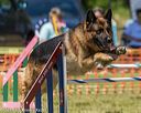 20190615-cckc-1124