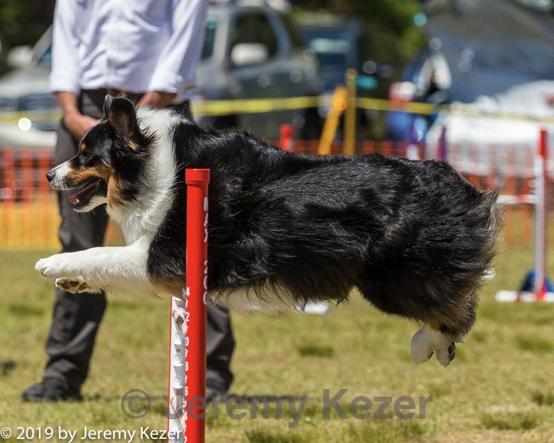 20190615-cckc-0908.jpg