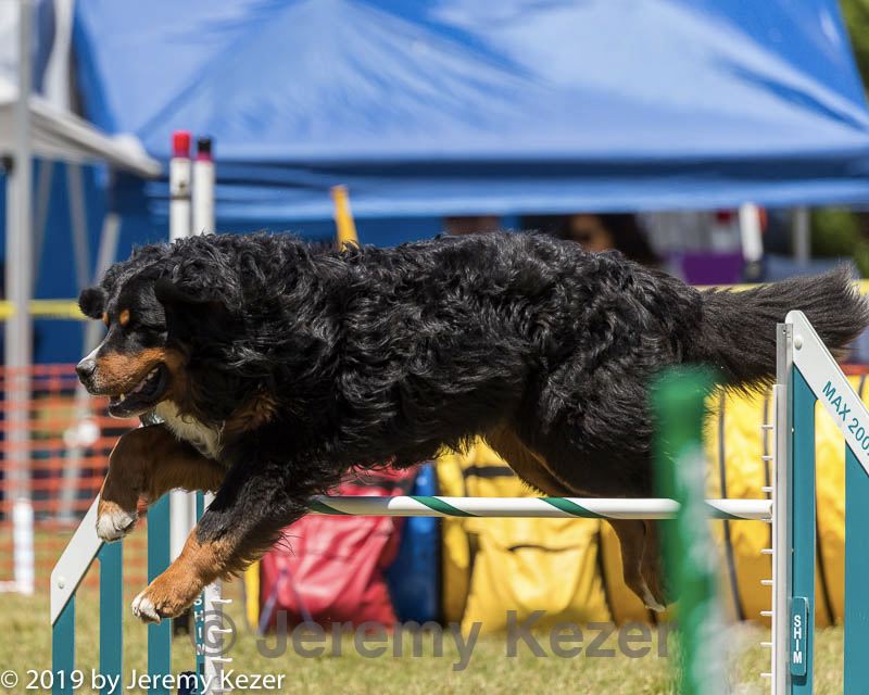 20190615-cckc-0917.jpg