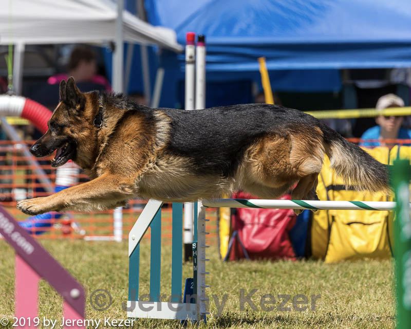 20190615-cckc-1120.jpg