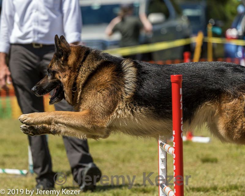 20190615-cckc-1127.jpg