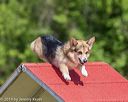 20190615-cckc-0384