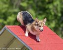 20190615-cckc-0385