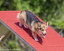 20190615-cckc-0387