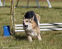 20190615-cckc-0390