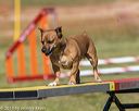 20190615-cckc-0401