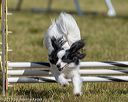 20190615-cckc-0424