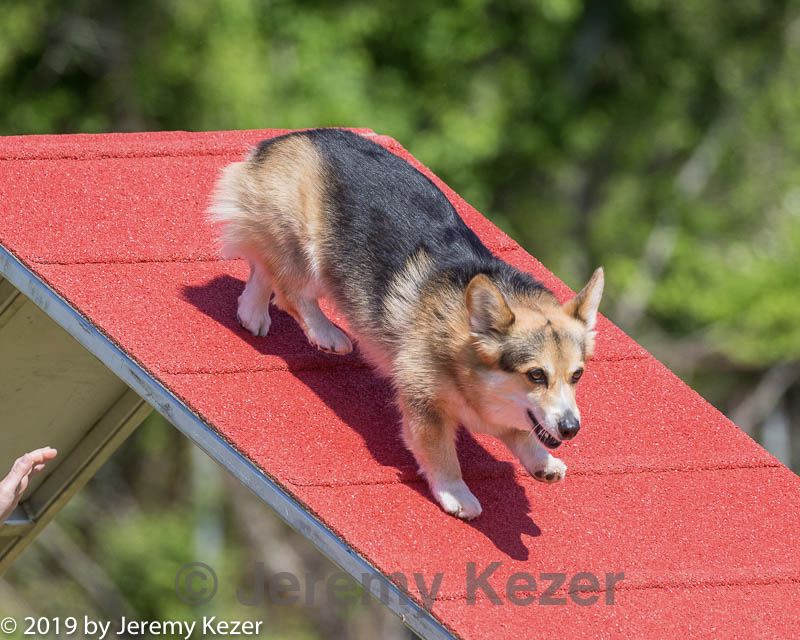 20190615-cckc-0387.jpg