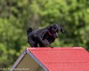 20190615-cckc-0309
