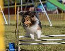 20190615-cckc-0339