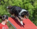 20190615-cckc-0376