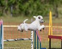 20190615-cckc-0193