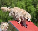20190615-cckc-0252