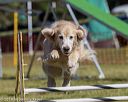 20190615-cckc-0257