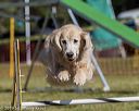 20190615-cckc-0258