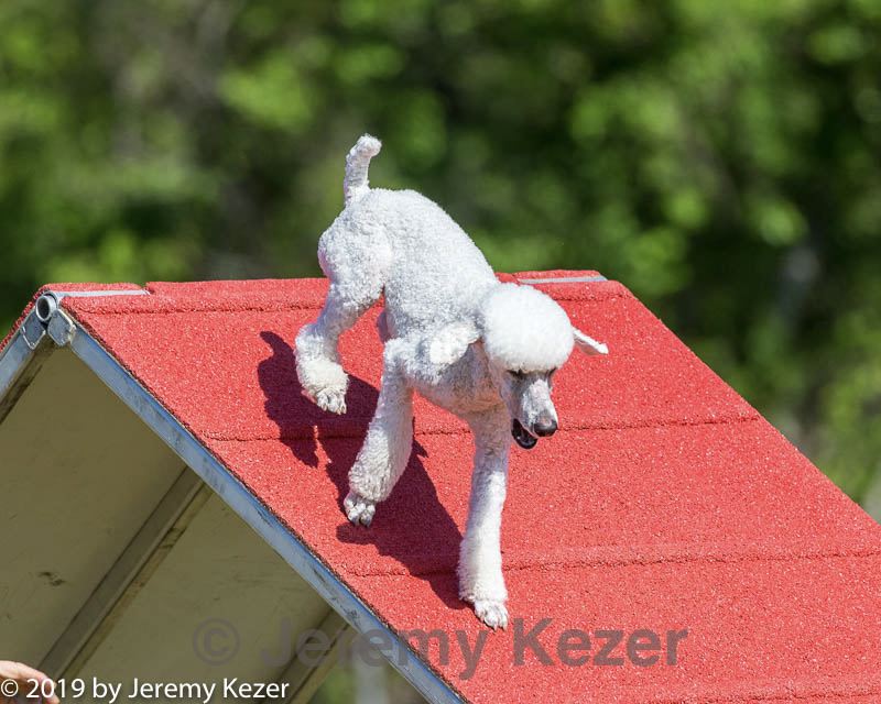 20190615-cckc-0197.jpg