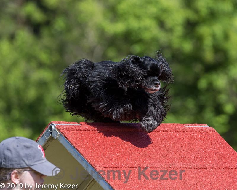 20190615-cckc-0220.jpg