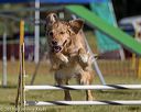 20190615-cckc-0037