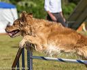 20190615-cckc-0039