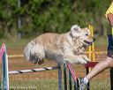 20190615-cckc-0058