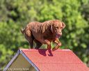 20190615-cckc-0089