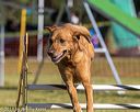 20190615-cckc-0120