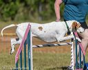 20190615-cckc-0169