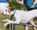 20190615-cckc-0177