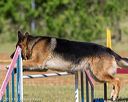 20190615-cckc-0178